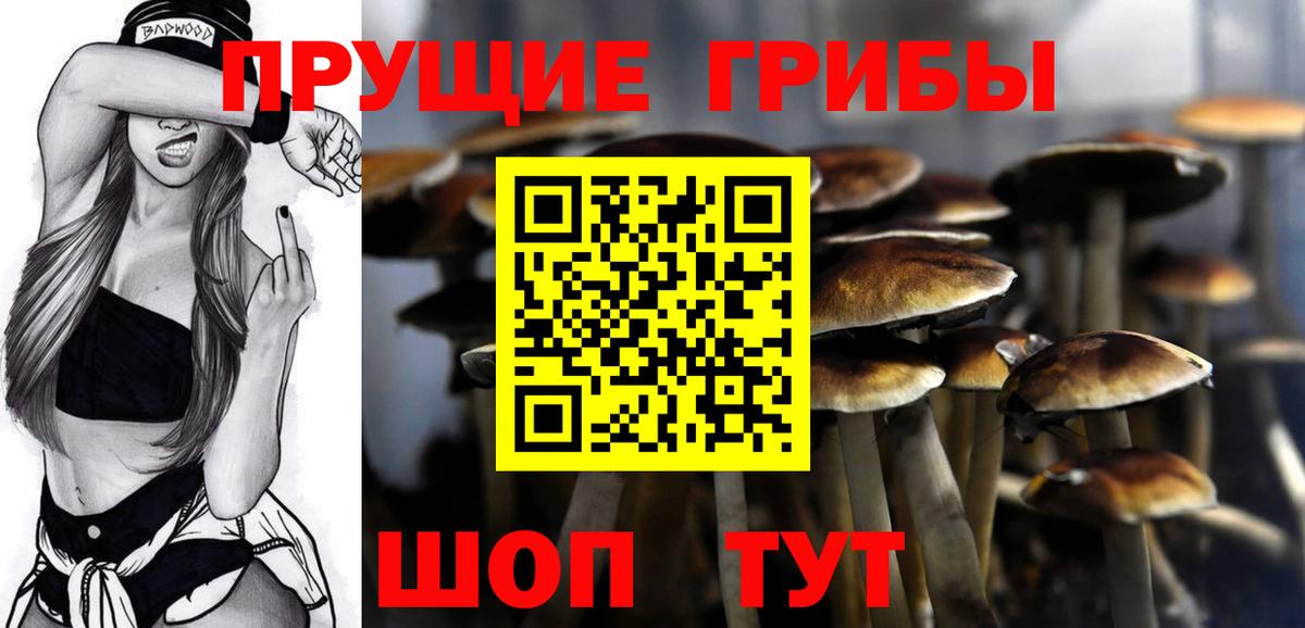 Галлюциногенные грибы Cubensis Сокол