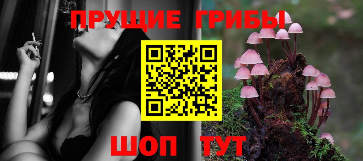 Сокол  Псилоцибиновые грибы ЛСД  Псилоцибиновые грибы Magic Shrooms  Вход с VPN 
