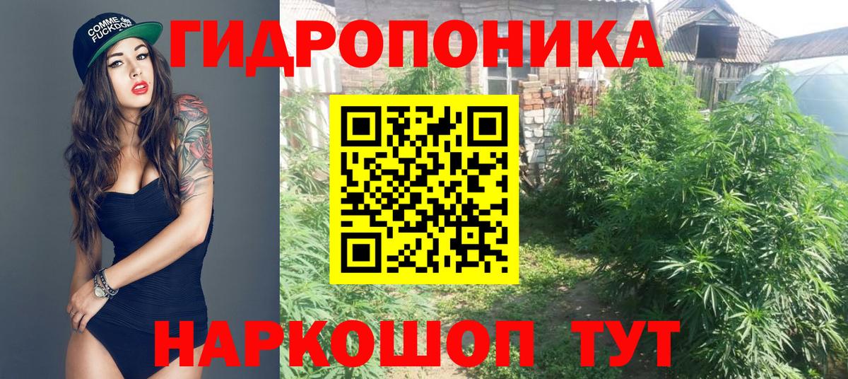 Сокол  Бошки Шишки планчик  Канабис OG Kush  Вход с VPN  Бошки Шишки MAZAR  Марихуана MAZAR 